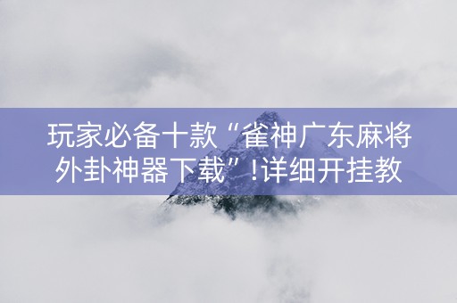 玩家必备十款“雀神广东麻将外卦神器下载”!详细开挂教程-抖音