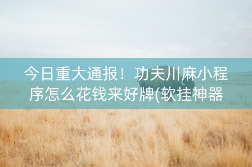 今日重大通报！功夫川麻小程序怎么花钱来好牌(软挂神器)