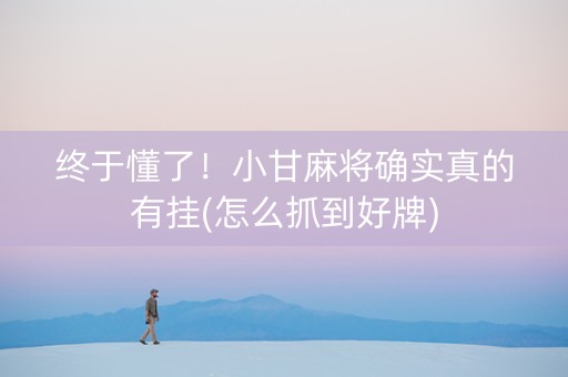 终于懂了！小甘麻将确实真的有挂(怎么抓到好牌)
