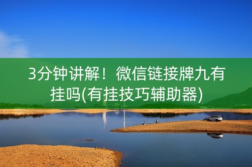 3分钟讲解！微信链接牌九有挂吗(有挂技巧辅助器)