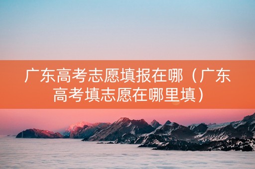 广东高考志愿填报在哪（广东高考填志愿在哪里填）