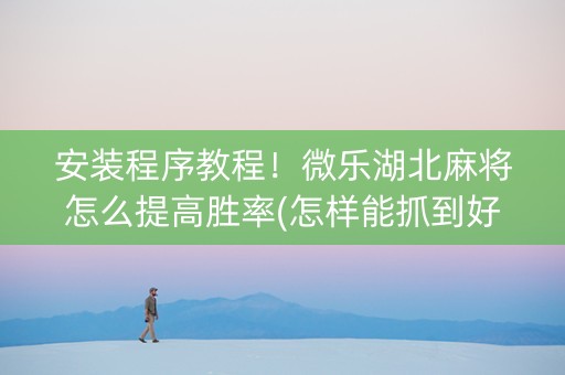 安装程序教程！微乐湖北麻将怎么提高胜率(怎样能抓到好牌)