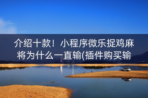 介绍十款！小程序微乐捉鸡麻将为什么一直输(插件购买输赢规律)