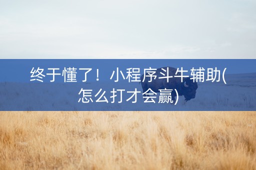 终于懂了！小程序斗牛辅助(怎么打才会赢)