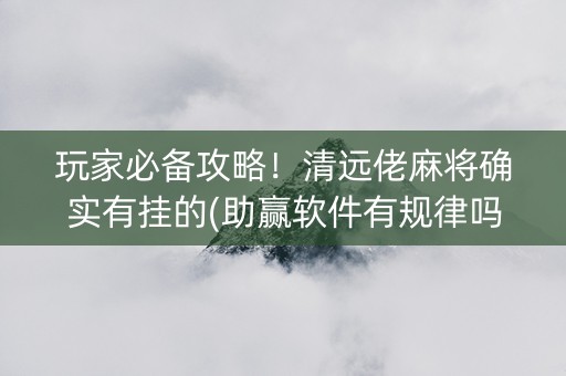 玩家必备攻略！清远佬麻将确实有挂的(助赢软件有规律吗)