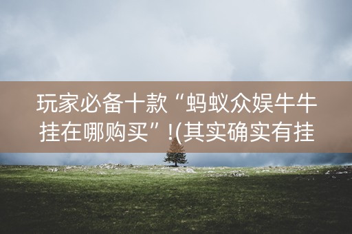玩家必备十款“蚂蚁众娱牛牛挂在哪购买”!(其实确实有挂)-抖音