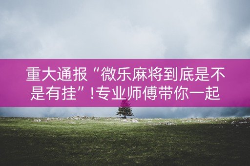 重大通报“微乐麻将到底是不是有挂”!专业师傅带你一起了解（详细教程）-抖音