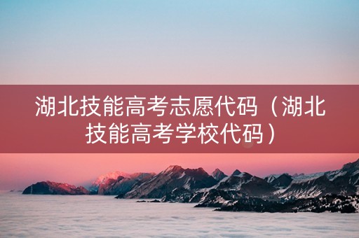 湖北技能高考志愿代码（湖北技能高考学校代码）