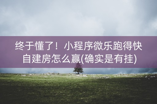 终于懂了！小程序微乐跑得快自建房怎么赢(确实是有挂)