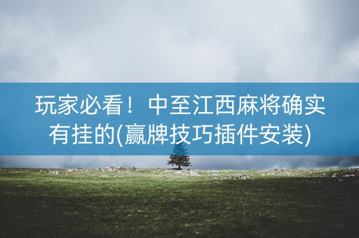 玩家必看！中至江西麻将确实有挂的(赢牌技巧插件安装)