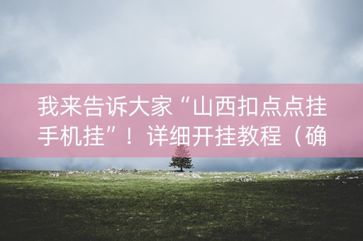 我来告诉大家“山西扣点点挂手机挂”！详细开挂教程（确实真的有挂)-抖音