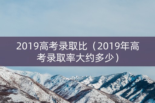 2019高考录取比（2019年高考录取率大约多少）