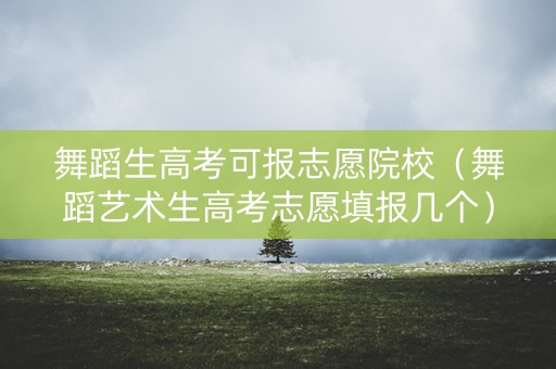 舞蹈生高考可报志愿院校（舞蹈艺术生高考志愿填报几个）