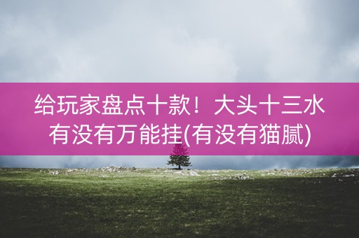 给玩家盘点十款！大头十三水有没有万能挂(有没有猫腻)