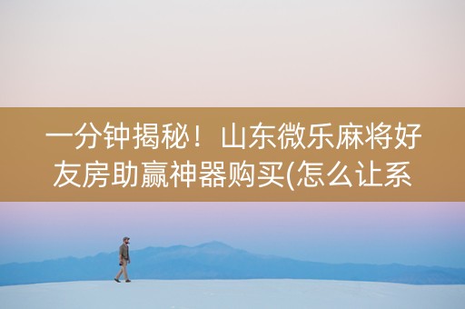 一分钟揭秘！山东微乐麻将好友房助赢神器购买(怎么让系统给好牌)