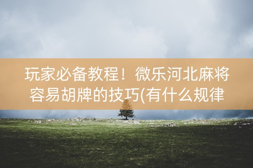 玩家必备教程！微乐河北麻将容易胡牌的技巧(有什么规律吗)