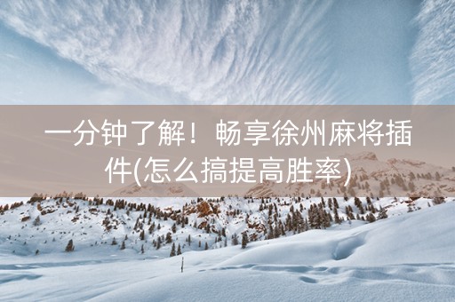 一分钟了解！畅享徐州麻将插件(怎么搞提高胜率)