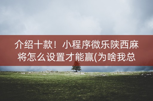 介绍十款！小程序微乐陕西麻将怎么设置才能赢(为啥我总是输)