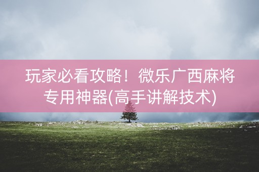 玩家必看攻略！微乐广西麻将专用神器(高手讲解技术)