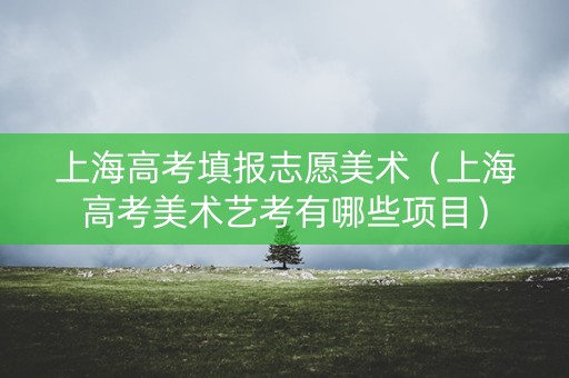 上海高考填报志愿美术（上海高考美术艺考有哪些项目）