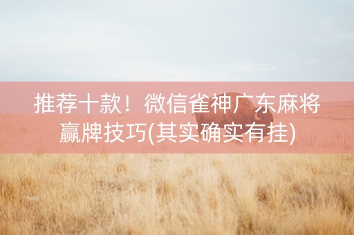 推荐十款！微信雀神广东麻将赢牌技巧(其实确实有挂)