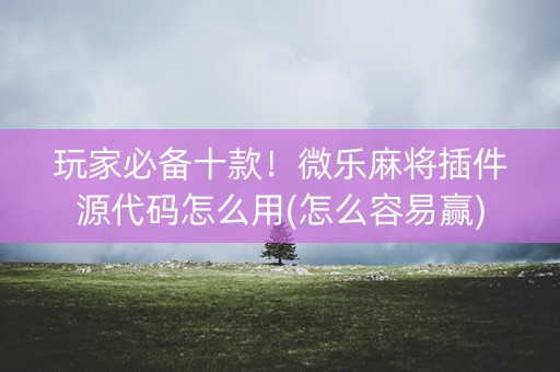 玩家必备十款！微乐麻将插件源代码怎么用(怎么容易赢)