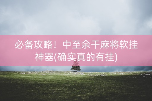 必备攻略！中至余干麻将软挂神器(确实真的有挂)