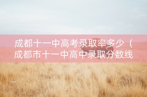 成都十一中高考录取率多少（成都市十一中高中录取分数线）