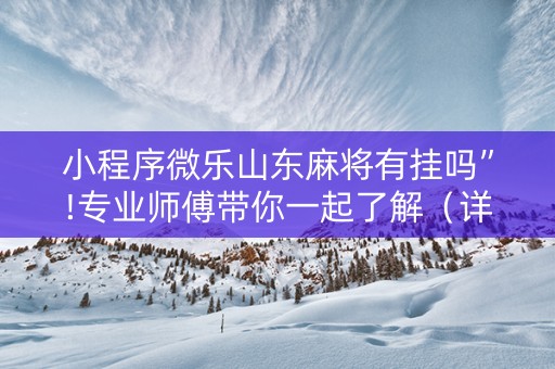 小程序微乐山东麻将有挂吗”!专业师傅带你一起了解（详细教程）-抖音