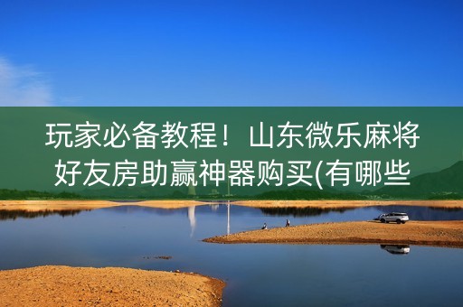 玩家必备教程！山东微乐麻将好友房助赢神器购买(有哪些猫腻)