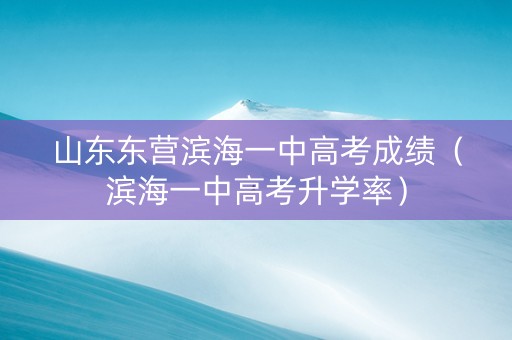 山东东营滨海一中高考成绩（滨海一中高考升学率）