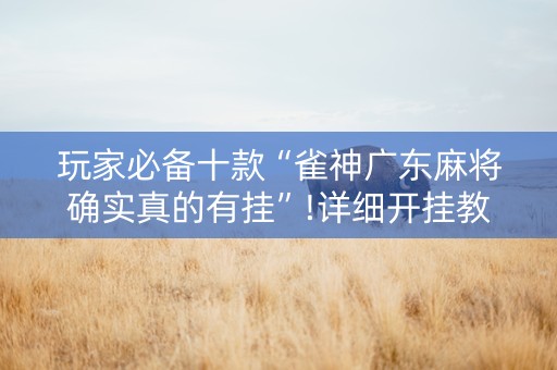 玩家必备十款“雀神广东麻将确实真的有挂”!详细开挂教程-抖音