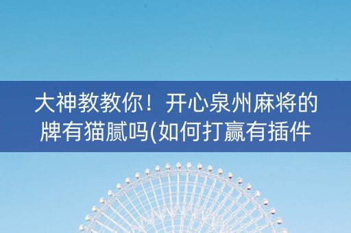 大神教教你！开心泉州麻将的牌有猫腻吗(如何打赢有插件吗)
