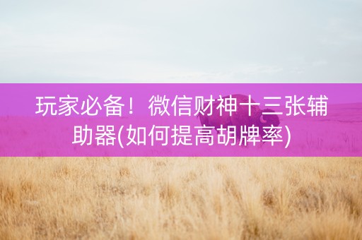 玩家必备！微信财神十三张辅助器(如何提高胡牌率)