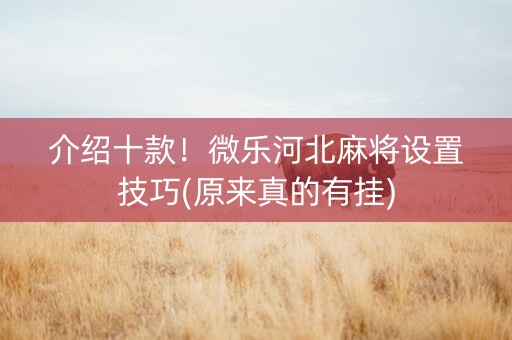介绍十款！微乐河北麻将设置技巧(原来真的有挂)