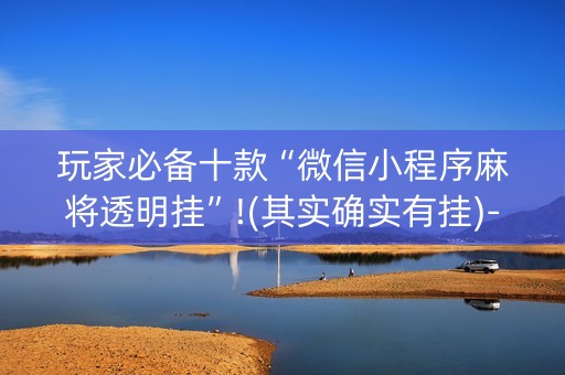 玩家必备十款“微信小程序麻将透明挂”!(其实确实有挂)-抖音