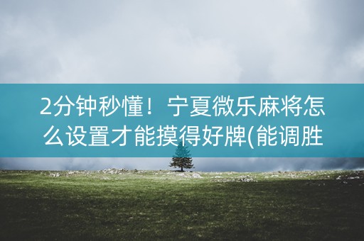 2分钟秒懂！宁夏微乐麻将怎么设置才能摸得好牌(能调胜率吗)