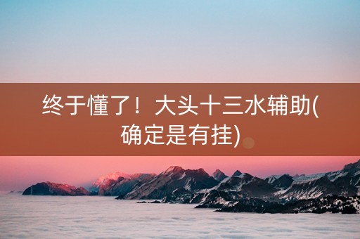 终于懂了！大头十三水辅助(确定是有挂)