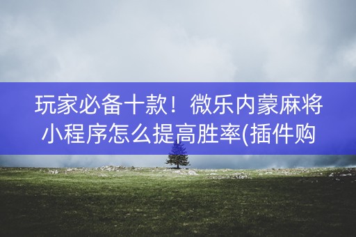 玩家必备十款！微乐内蒙麻将小程序怎么提高胜率(插件购买输赢规律)