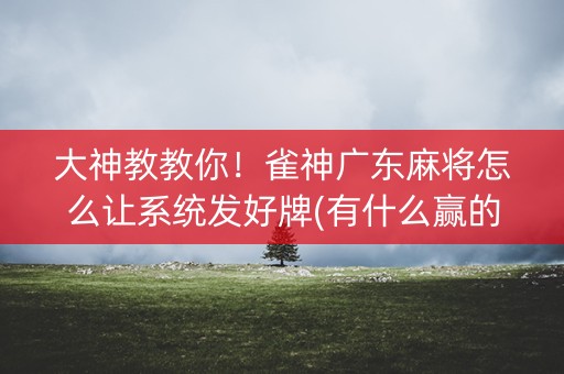 大神教教你！雀神广东麻将怎么让系统发好牌(有什么赢的技巧)