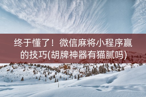 终于懂了！微信麻将小程序赢的技巧(胡牌神器有猫腻吗)