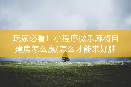 玩家必看！小程序微乐麻将自建房怎么赢(怎么才能来好牌)