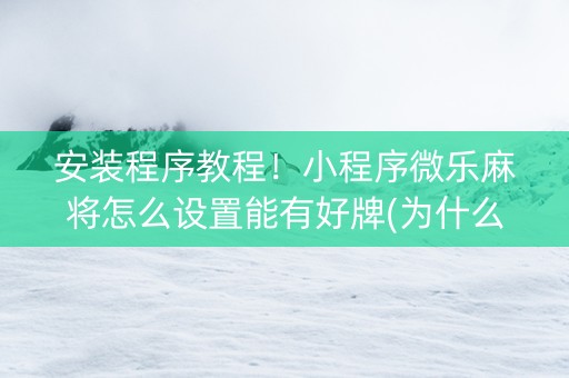 安装程序教程！小程序微乐麻将怎么设置能有好牌(为什么总是输)