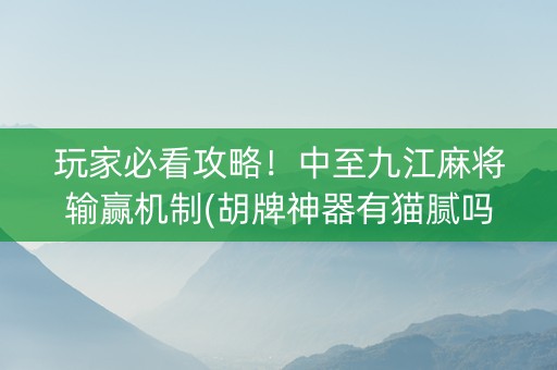 玩家必看攻略！中至九江麻将输赢机制(胡牌神器有猫腻吗)