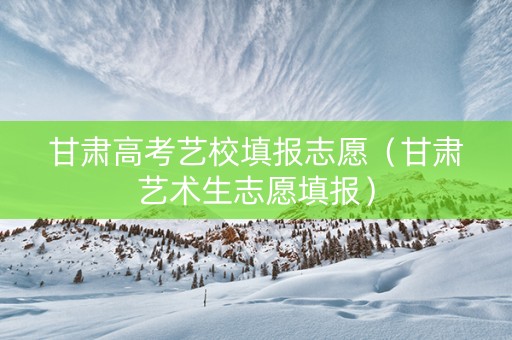 甘肃高考艺校填报志愿（甘肃艺术生志愿填报）