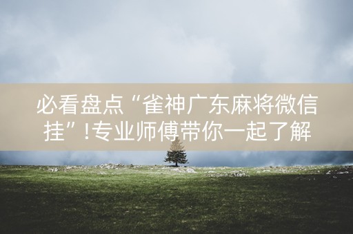 必看盘点“雀神广东麻将微信挂”!专业师傅带你一起了解（详细教程）-抖音