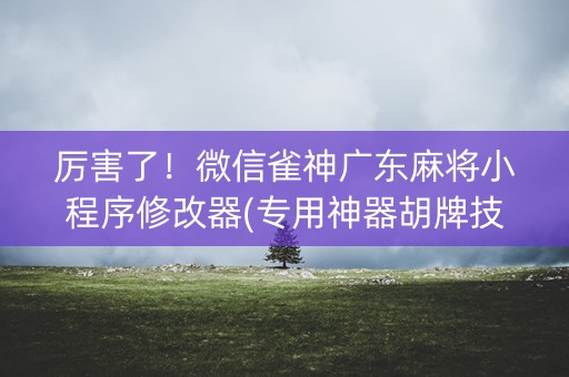 厉害了！微信雀神广东麻将小程序修改器(专用神器胡牌技巧)