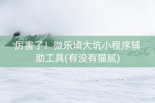 厉害了！微乐填大坑小程序辅助工具(有没有猫腻)