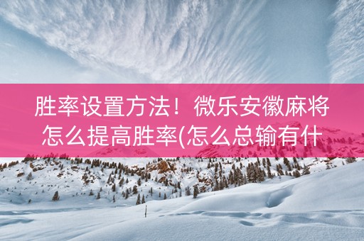 胜率设置方法！微乐安徽麻将怎么提高胜率(怎么总输有什么猫腻)