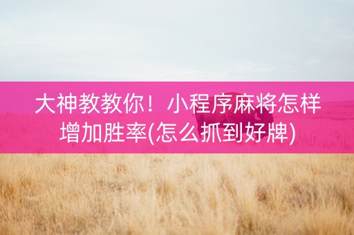 大神教教你！小程序麻将怎样增加胜率(怎么抓到好牌)